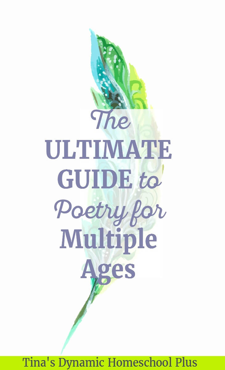 The Ultimate Guide to Poetry (For the Intimidated). Like living books, poetry needs to be appreciated first for the ability to move a reader. Rhythm and meter are art forms of poetry. And choosing the right words, a pause or space in between stanzas, and giving life to soulless objects are ways that a skillful poet evokes thoughts, feelings and imagination. Click here to learn how to skillfully teach poetry!