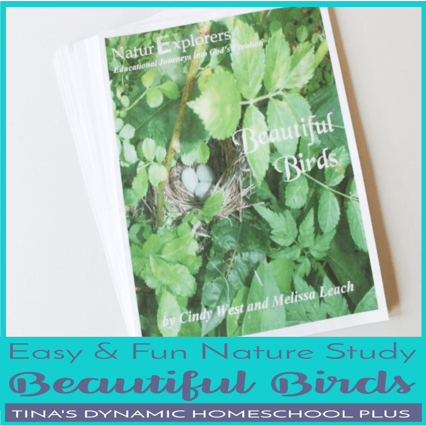 Beautiful Birds is truly a beautiful nature study unit for spring! Click here to grab this easy and fun nature study about birds!