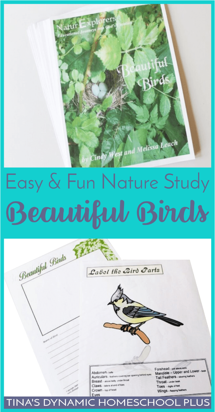 Beautiful Birds is truly a beautiful nature study unit for spring! Click here to grab this easy and fun nature study about birds!