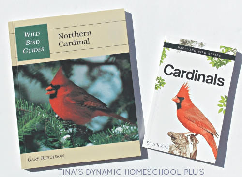 Cardinal Birds in Winter and Birch Trees Easy Watercolor Kids Activity