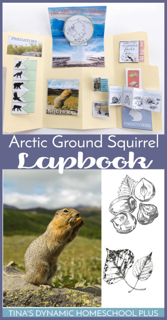 Free Arctic Ground Squirrel Lapbook & Unit Study Resources