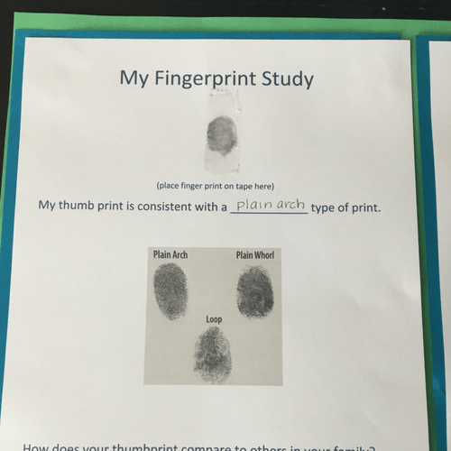 Examining Fingerprints with Kids