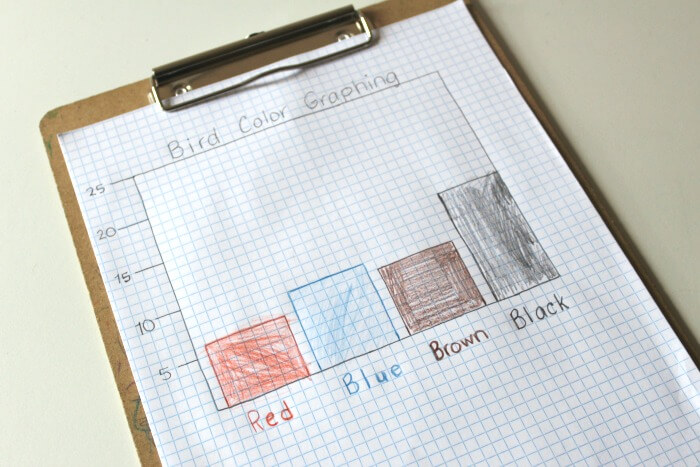 Graphing Bird Colors with Kids