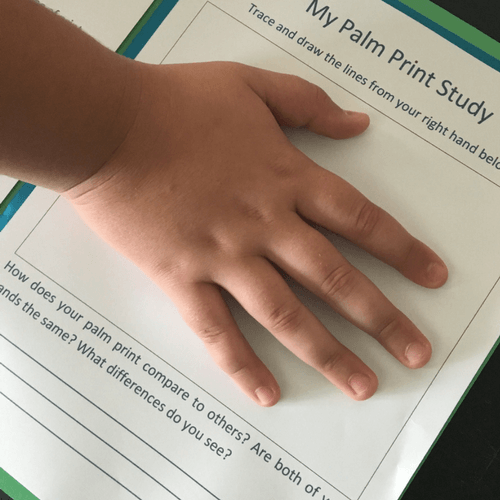 Hands-On Handprint Science Activity