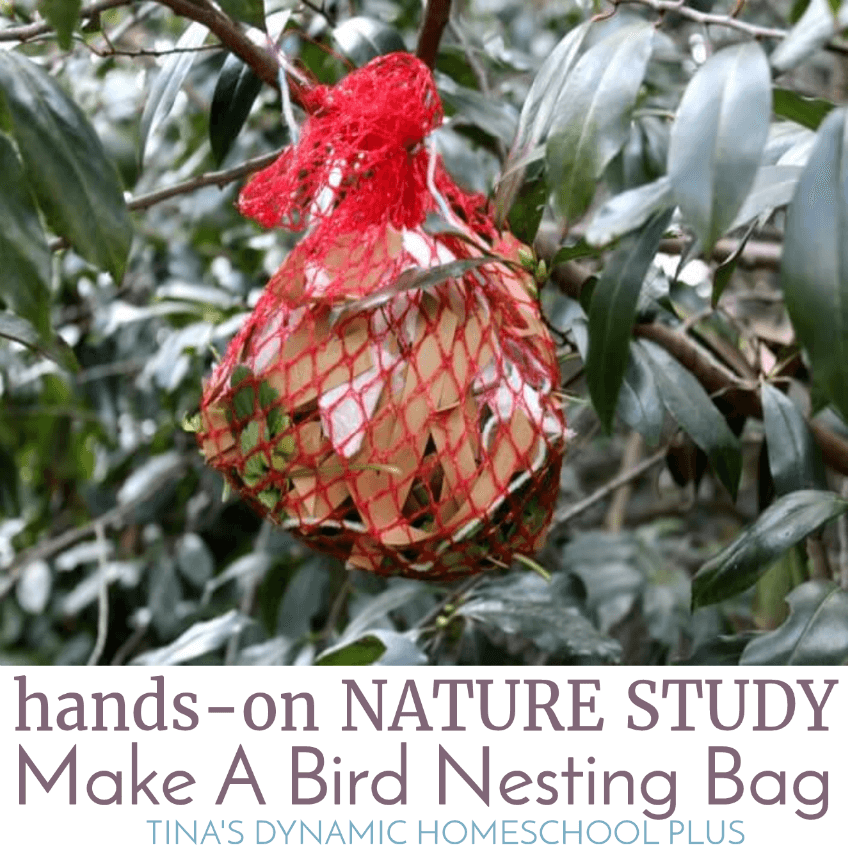 Hands-On Nature Study: Make a Fun Bird Nesting Bag