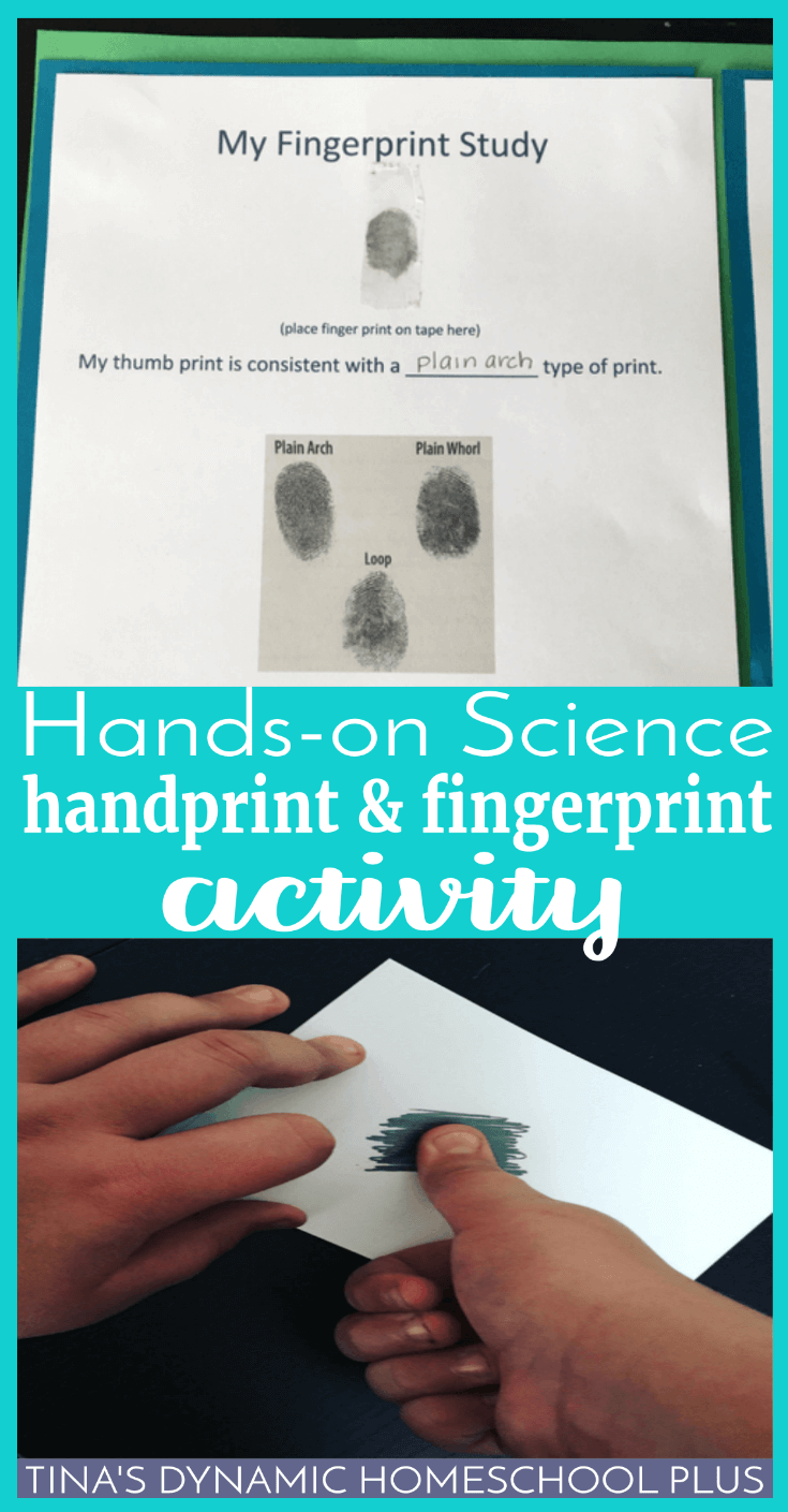 Hands-On Science: Handprint and Fingerprint Activity. What better way to celebrate the uniqueness of our skin than to learn more about our unique fingerprints and palm prints? CLICK HERE to grab the free printable and do this fun hands-on activity!