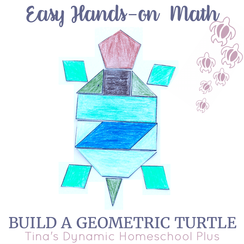 Easy Hands-on Math Build a Geometric Turtle @ Tina's Dynamic Homeschool Plus