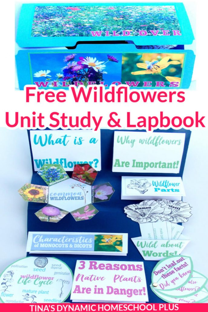 Free Wildflowers Unit Study & Lapbook