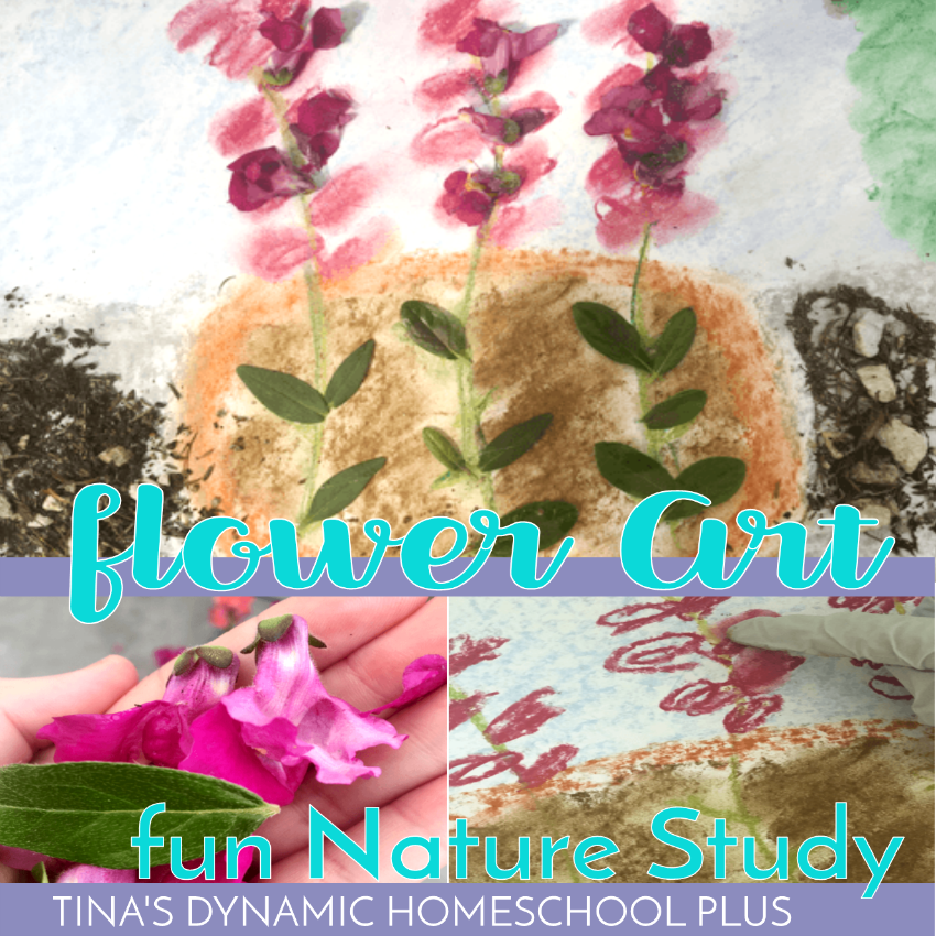 Picking out a few inexpensive flowering plants, adding in some gardening activities and art, and you’ll have a fun hands-on mixed media flower art fun nature study! Check out how easy it is to do this fun hands-on nature activity!