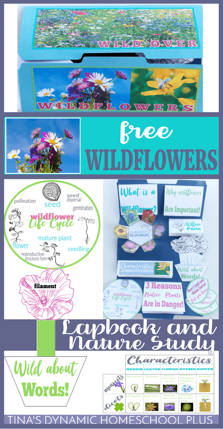 Your kids will love this free wildflower unit study and lapbook along with some hands-on ideas, crafts, lesson plans and fun activities. I hope they'll help your kids get excited about a fun nature study about wildflowers. CLICK here to grab it!