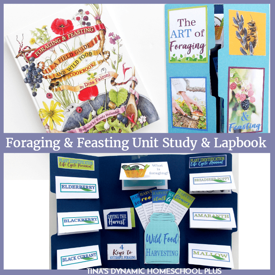 This foraging and feasting nature unit study is not only a way to teach some basic survival skills like learning how to live off the land, but a great way to sneak in tips about how to cook. CLICK HERE to grab this FREE Foraging and Feasting Lapbook and unit study resources!
