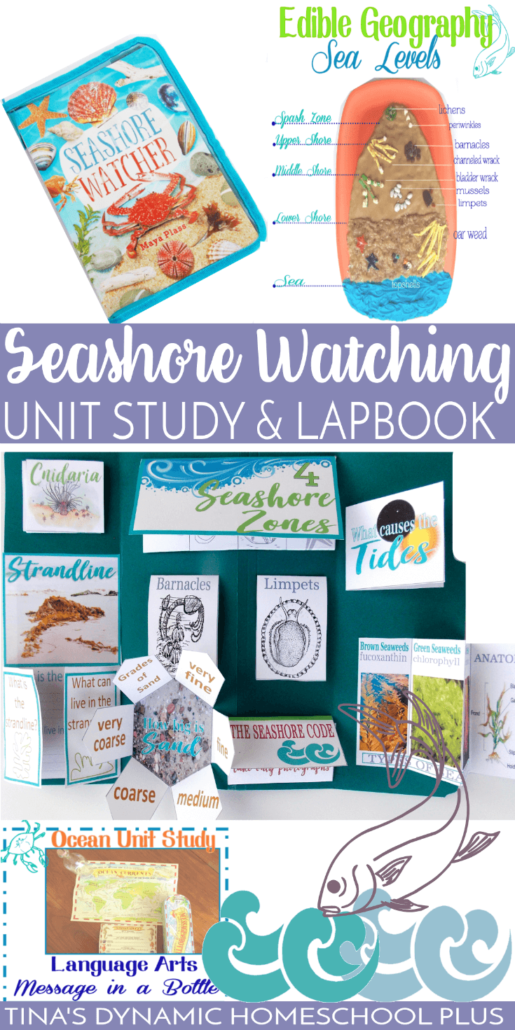 Super Seashore Watching Unit Study and Beach Lapbook.