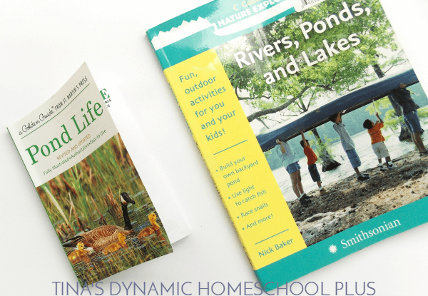 Above & Below: Pond Unit Study, Hands-on Ideas, & Lapbook