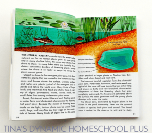 Above & Below: Pond Unit Study, Hands-on Ideas, & Lapbook