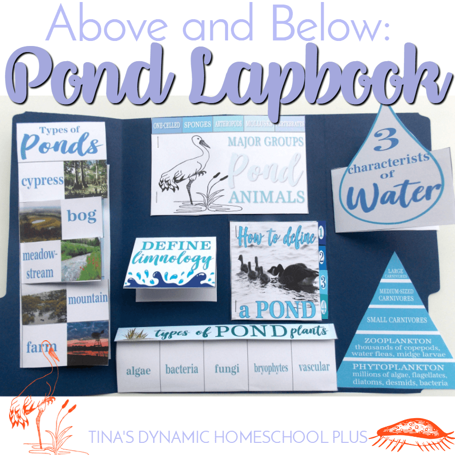 Above & Below: Pond Unit Study, Hands-on Ideas, & Lapbook