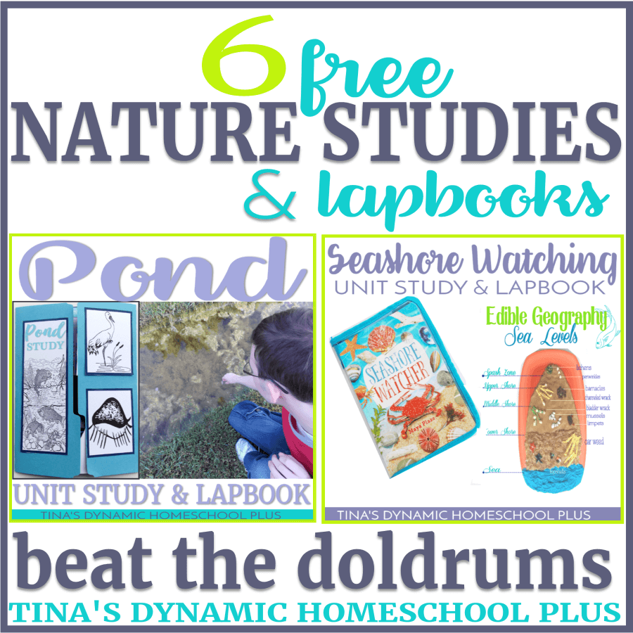 Whether your kids are having winter doldrums or you feel like your kids learning has become stagnant, nature studies can revive the love of learning. CLICK HERE to grab these 6 Free Nature Study Unit Studies and Lapbooks!