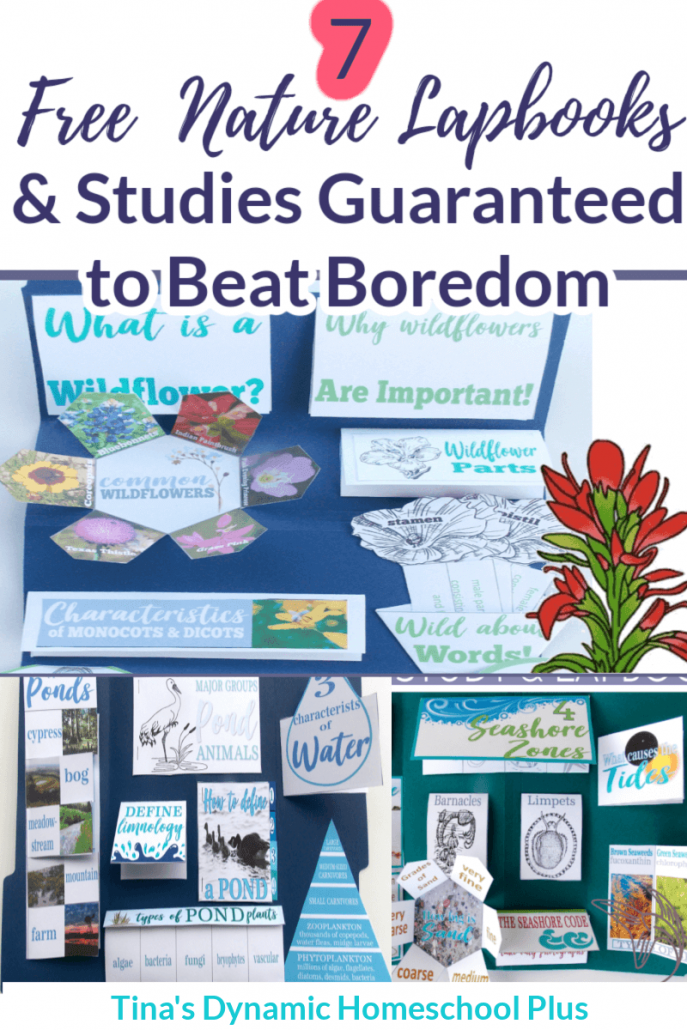 7 Super Easy and Free Nature Lapbooks Guaranteed to Beat Boredom. Nature studies revive the most listless learner and teacher. Grab these beautiful printable lapbooks and hands-on unit study nature study ideas at Tina’s Dynamic Homeschool Plus!
