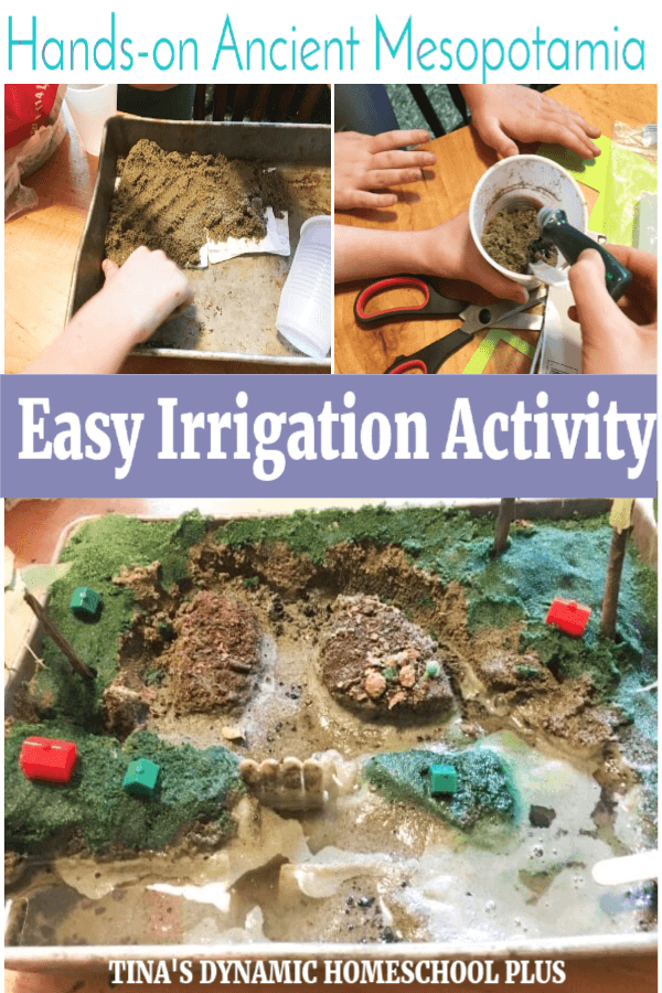 mesopotamian irrigation system for kids