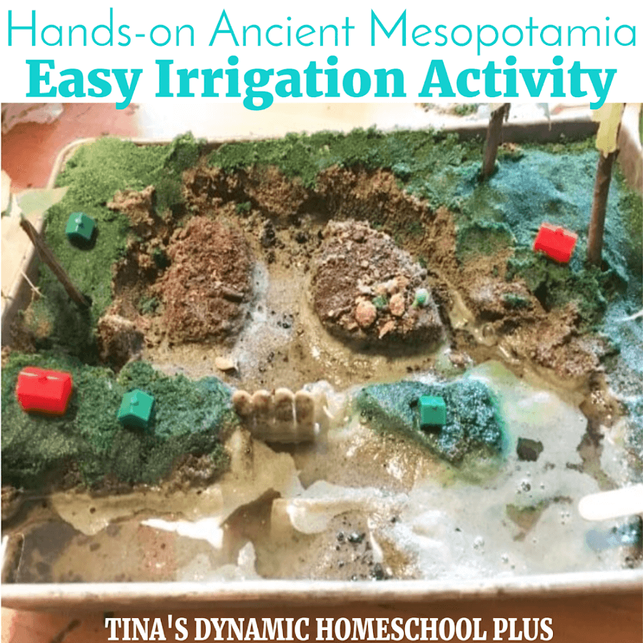 mesopotamian irrigation system for kids