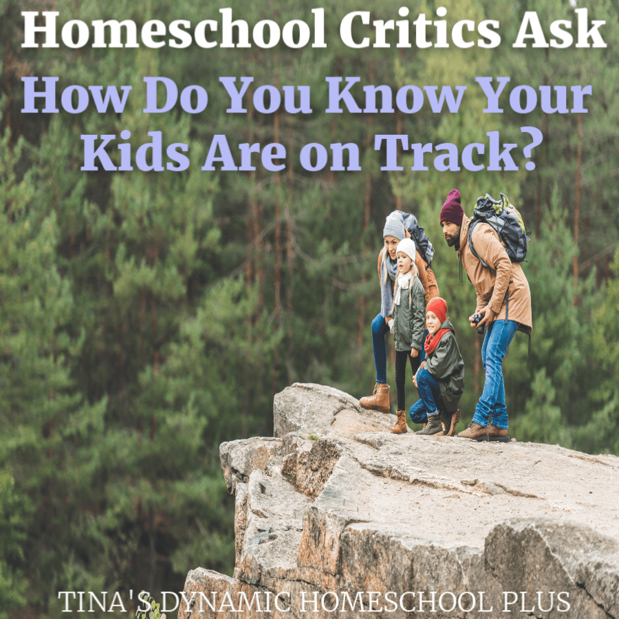 Homeschool Critics: How Do You Know You're on Track?
