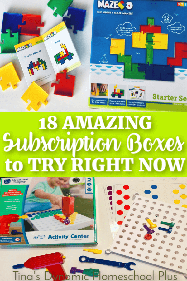 18 Amazing Subscription Boxes to Try RIGHT Now. Your kids will love these AWESOME and fun projects they get in the mail. Check them out at Tina's Dynamic Homeschool Plus