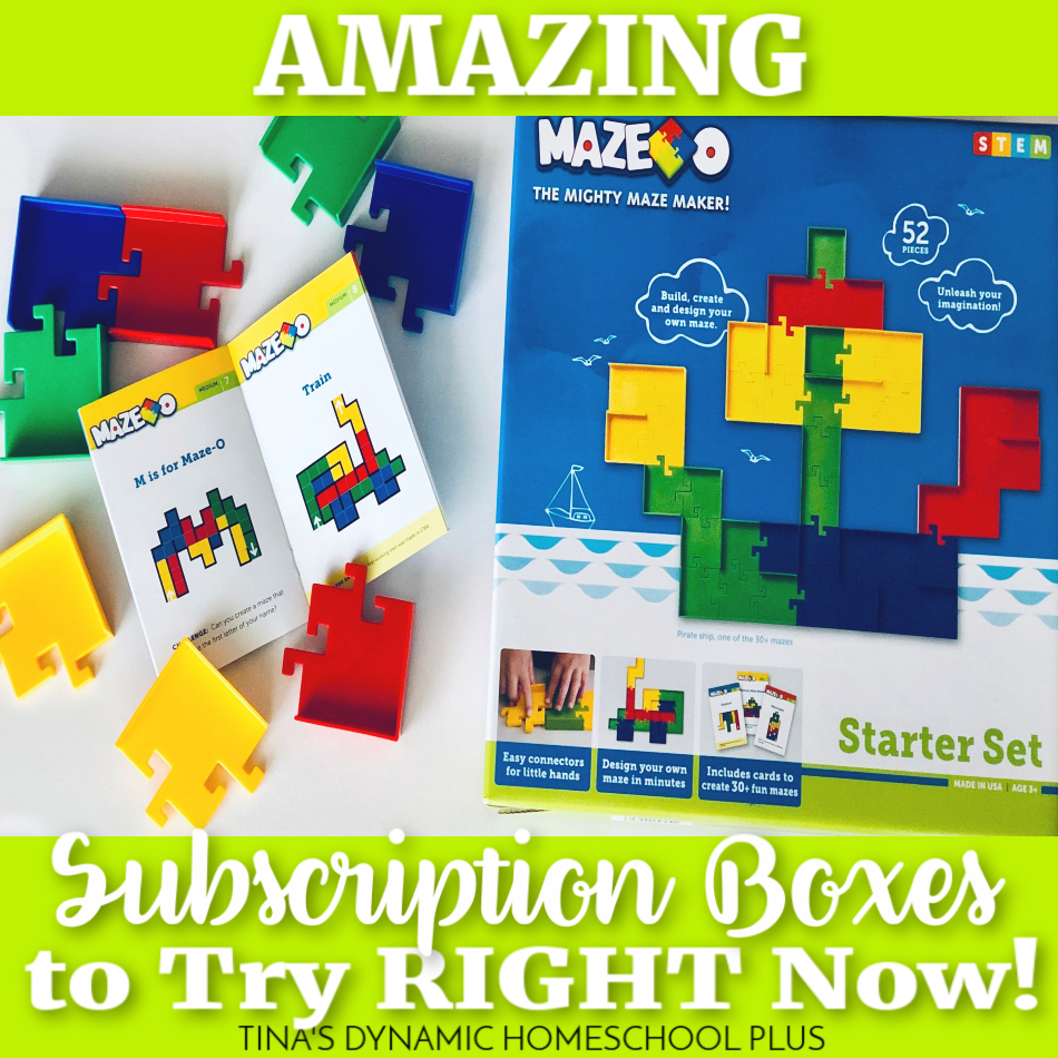 18 Amazing Subscription Boxes to Try RIGHT Now @ Tina's Dynamic Homeschool Plus