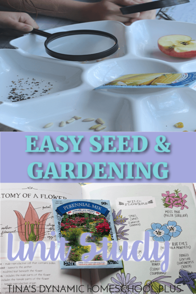 Easy Seed and Gardening Unit Study for Kids (Middle - Upper Elementary). You'll love these tips for an easy gardening unit study! Click here to grab them!