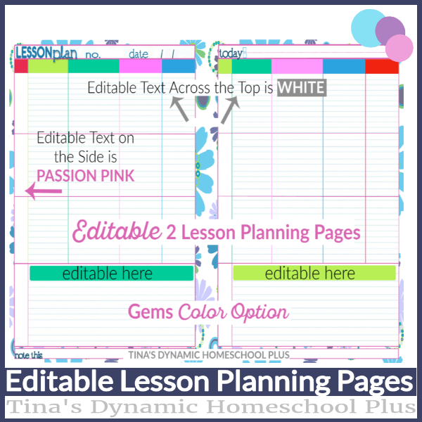 4 Colorful and Editable Homeschool Lesson Plan Templates