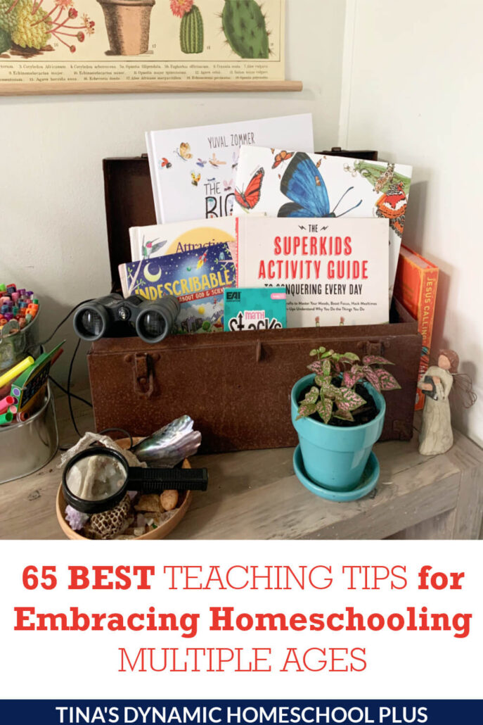 65 Best Teaching Tips for Embracing Homeschooling Multiple Ages