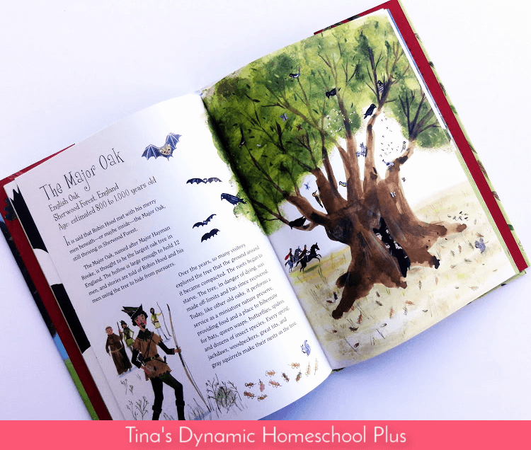 Famous and Historic Trees Fun Nature and History Homeschool Unit Study