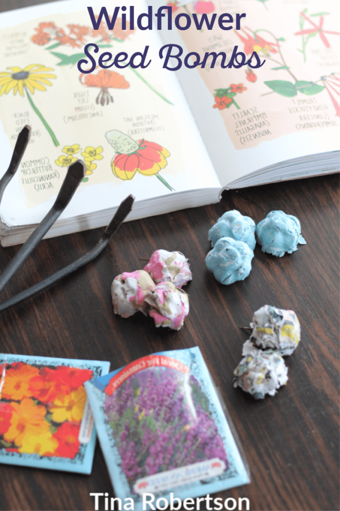 Fun Kids Activity How to Make Wildflower Seed Bombs