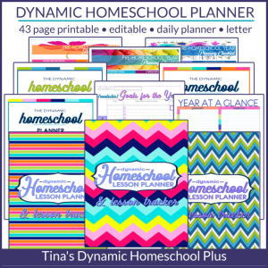 Download Best And Unique 7 Step Homeschool Planner Diy