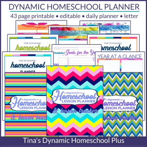 1.2 The Best Undated Dynamic Daily Homeschool Planner