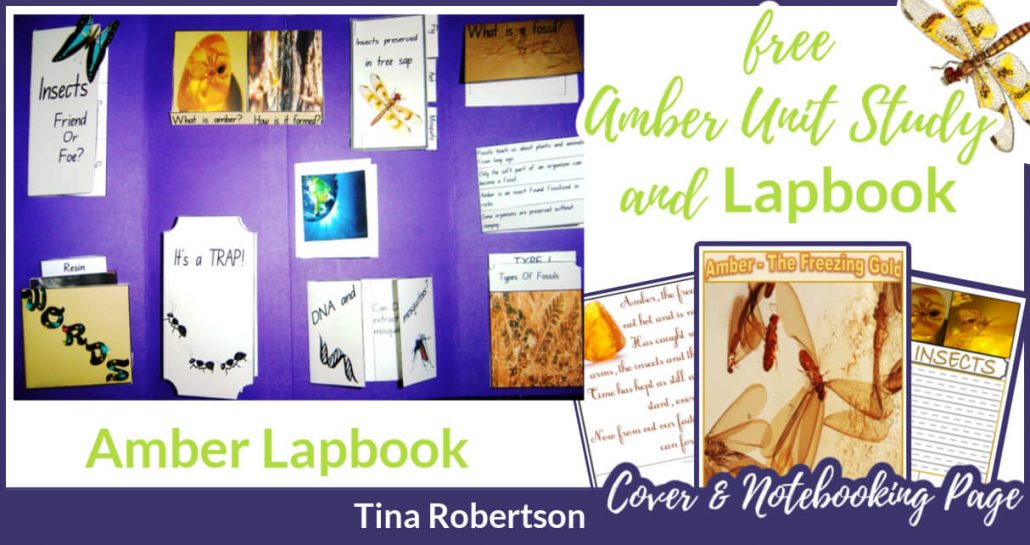 Amber - Freezing Gold Lapbook and Unit Study