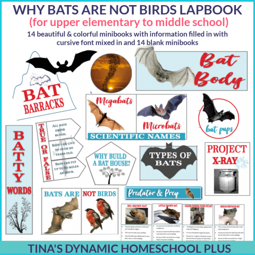 Dynamic Why Bats Are Not Birds Lapbook For Multiple Ages