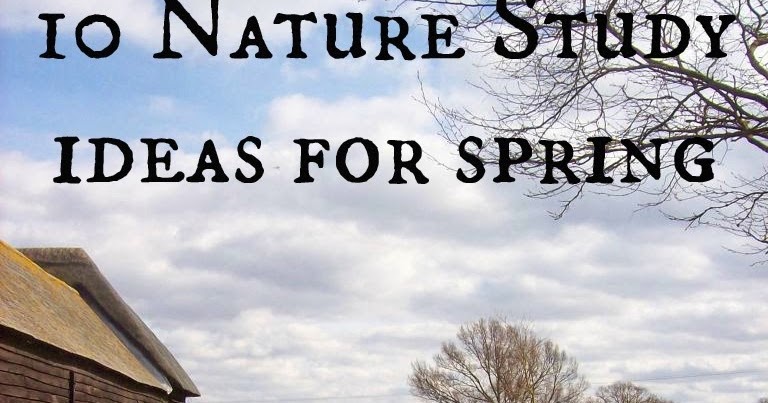 Middle School Homeschool Science 50 Free Spring Activities