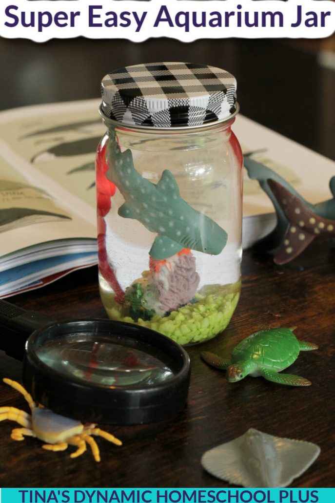 Super Easy and Fun Aquarium Jar Craft For Summer Activities for Middle Schoolers