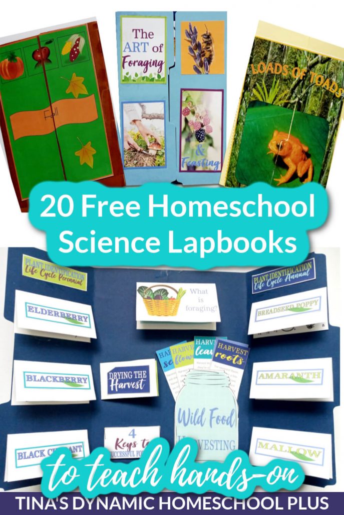 20 Free Homeschool Science Lapbooks to Teach Hands-on