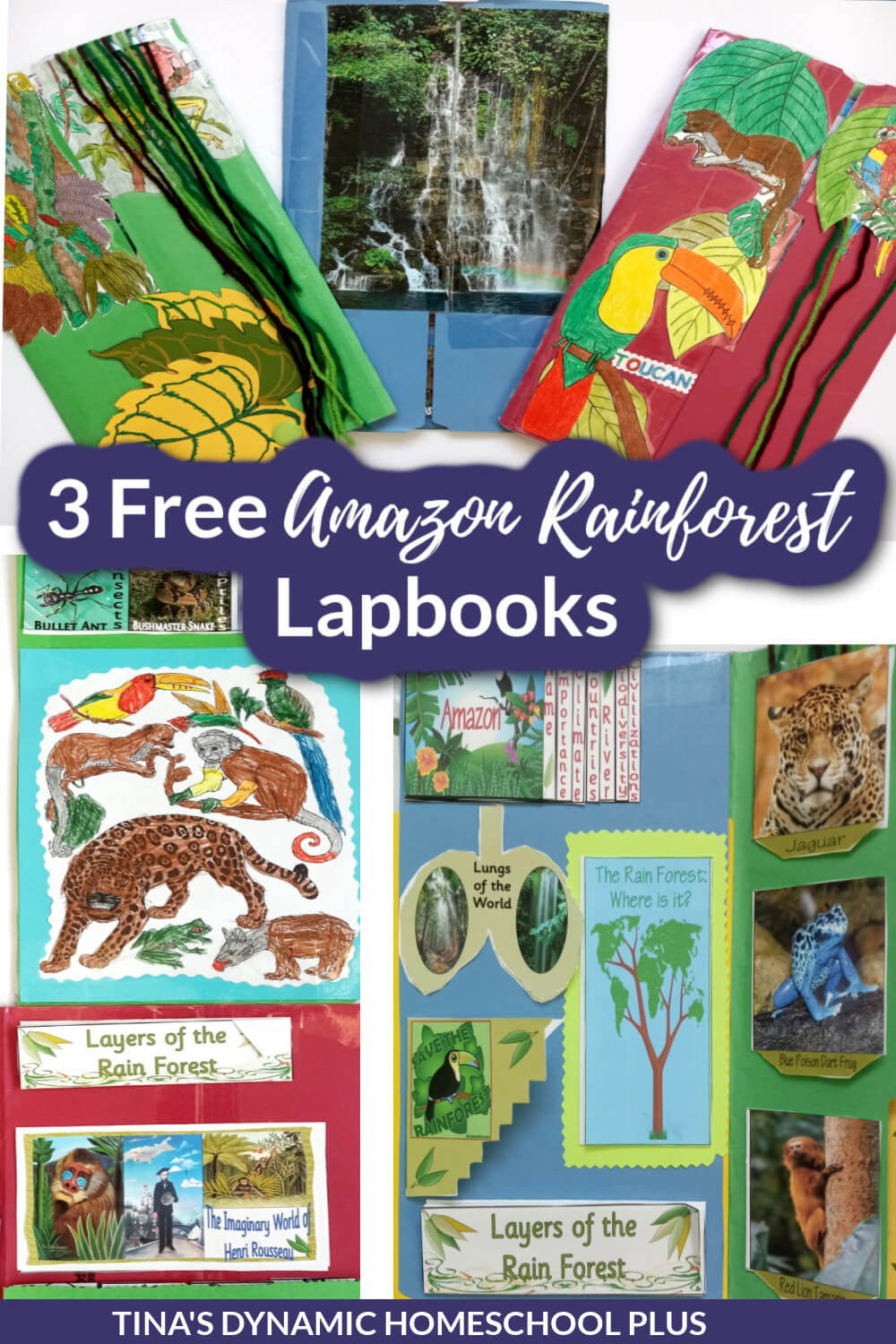 3 Free and Amazing Amazon Rainforest Lapbooks for Kids