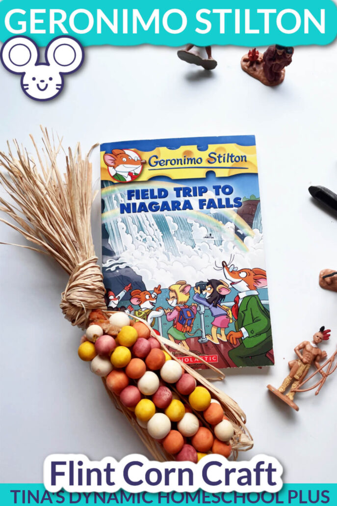 Geronimo Stilton Field Trip to Niagara Falls Summary And Fun Corn Craft