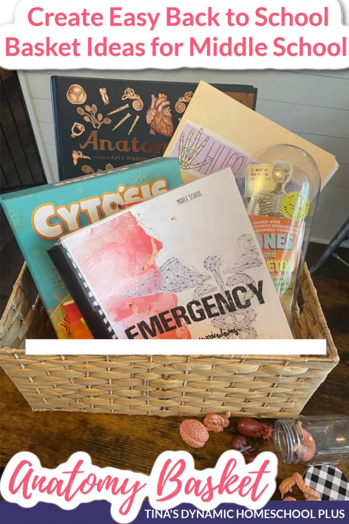 How to Create Easy Back to School Basket Ideas for Middle School (Anatomy)