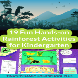 19 Fun Hands-on Rainforest Activities for Kindergarten
