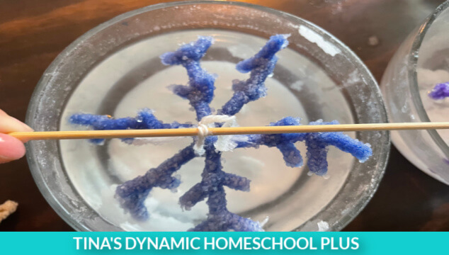 Snowflake Stamping – the perfect craft for kids on a cold winter day! - The  Educators' Spin On It