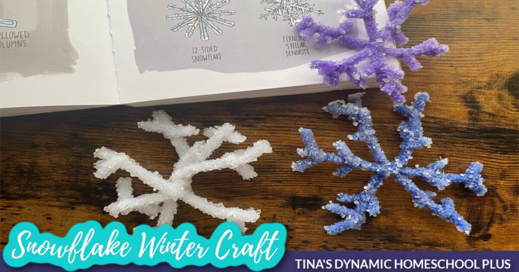 Easy Snowflake Winter Craft 