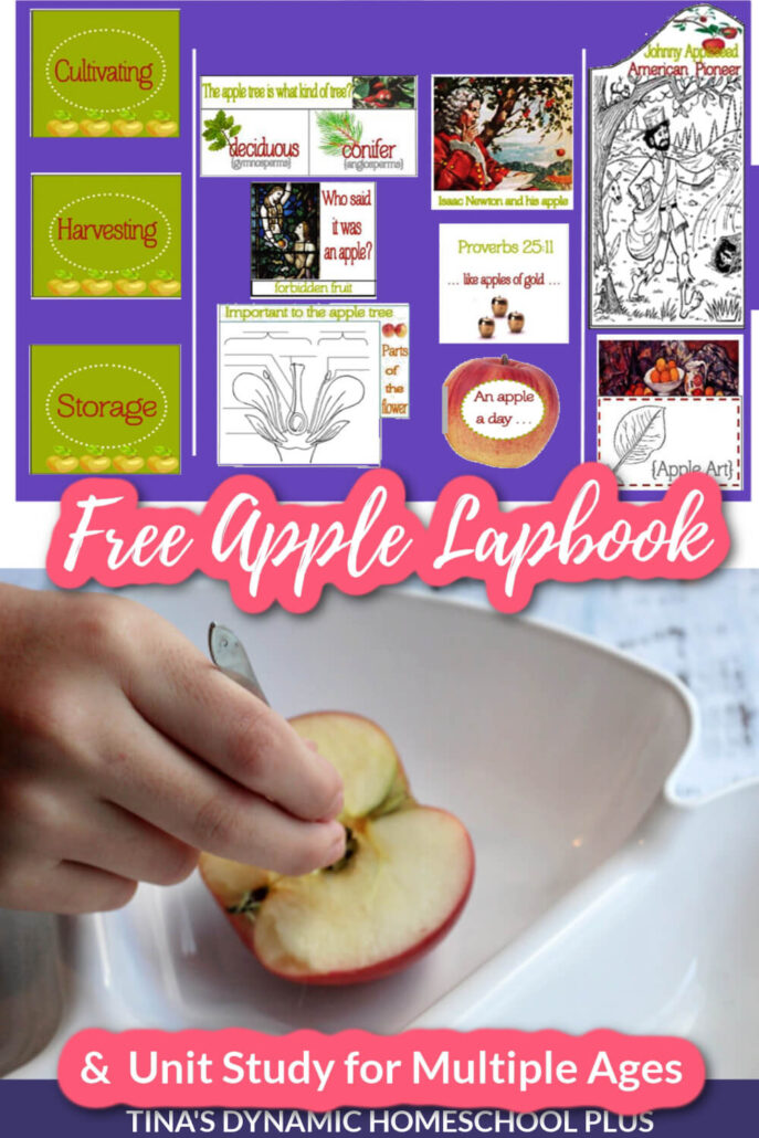 Apple Lapbook and Apple Unit Study