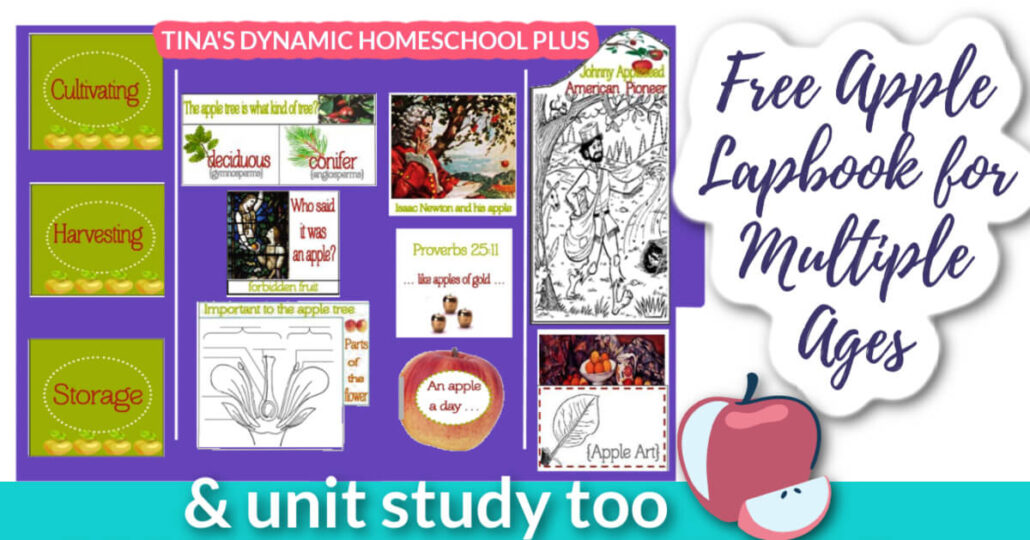 Fun Apple Lapbook and Hands-on Unit Study for Multiple Ages