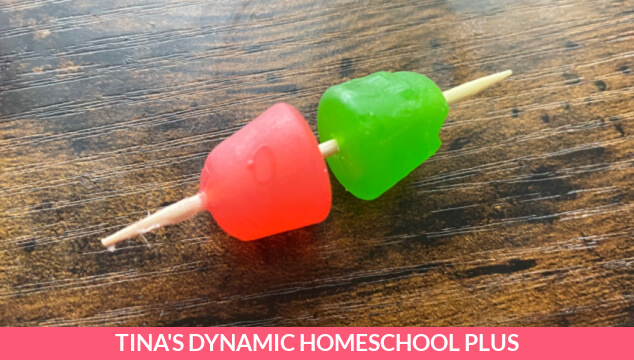 How To Study Human Anatomy For Science:Build An Edible DNA Model