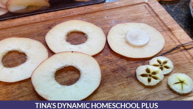 Kids Fun Hands-on Apple Unit Make Dried Apple Slices