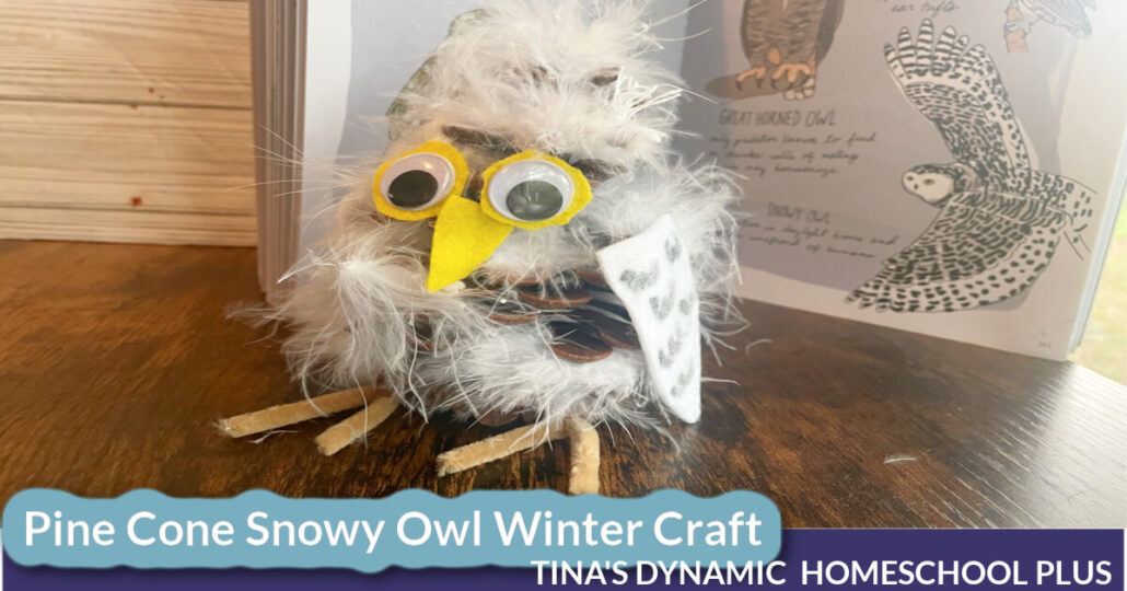 Easy and Fun Pine Cone Snowy Owl Winter Craft for Kindergarten