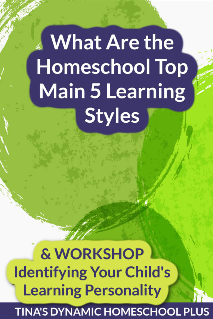 What Are the Homeschool Top Main 5 Learning Styles